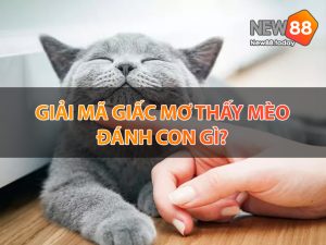 Giải mã giấc mơ thấy mèo đánh con gì?