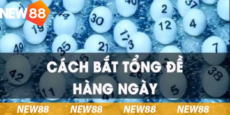 Những cách bắt tổng đề hàng ngày được đánh giá cao